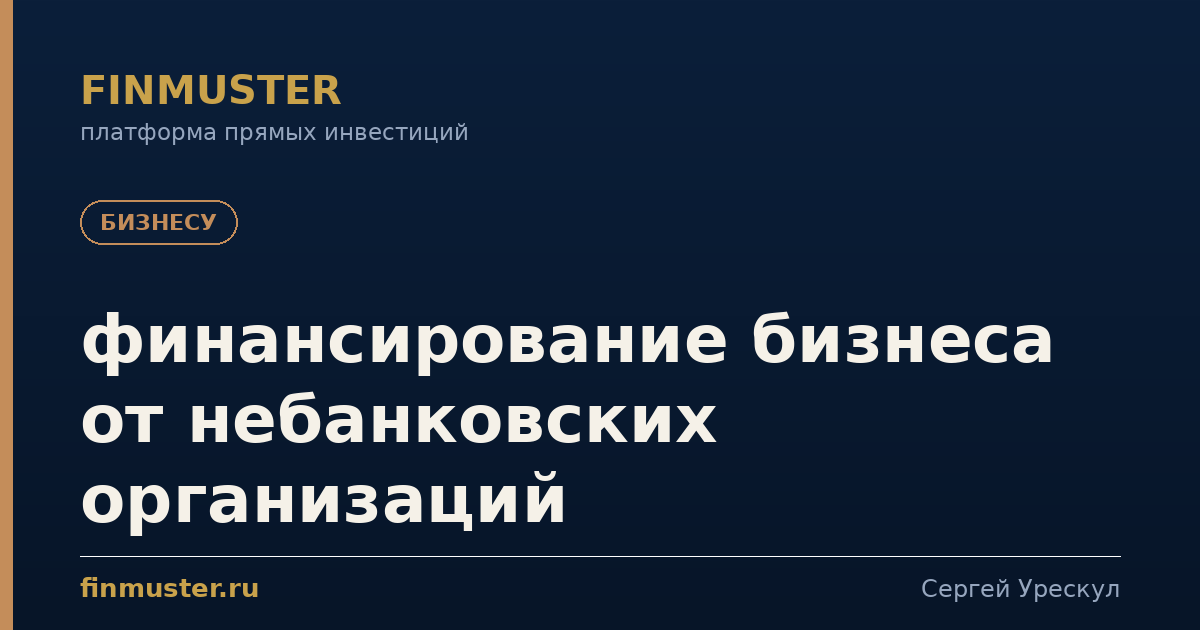 финансирование бизнеса от небанковских организаций